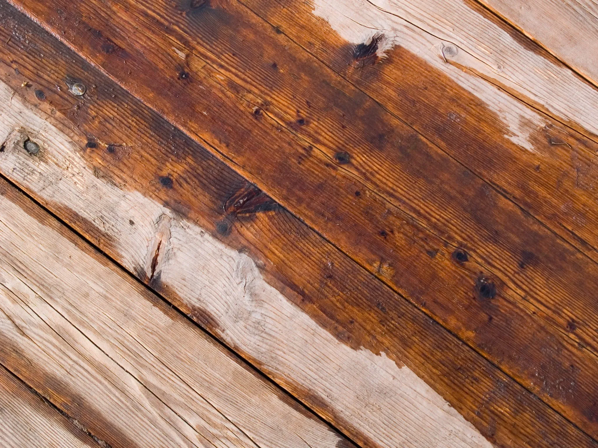 hardwood floor water damage