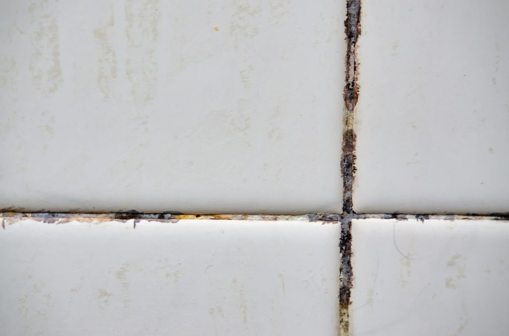 mold on grout