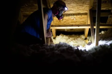 mold in crawl space