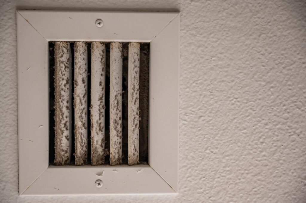 mold in hvac vent