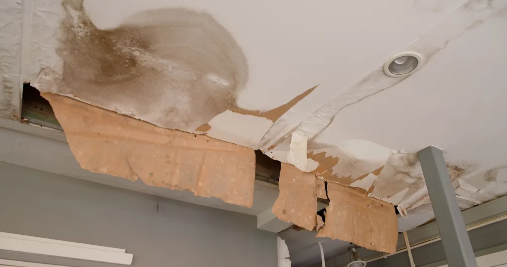 ceiling water damage -- does homeowners insurance cover water damage?