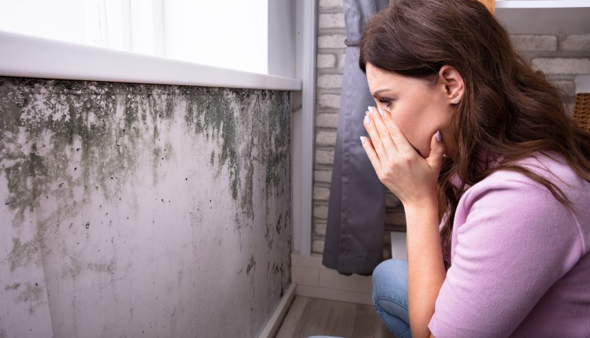 Woman stares in shock at fungus on walls as she tries to determine the difference between mold and mildew