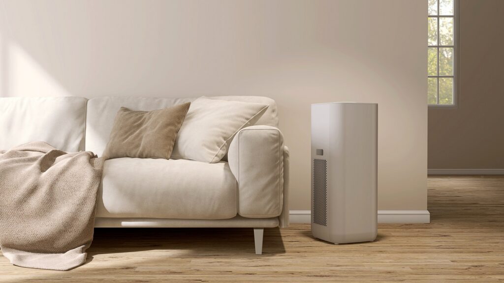 Does a Dehumidifier Kill Mold