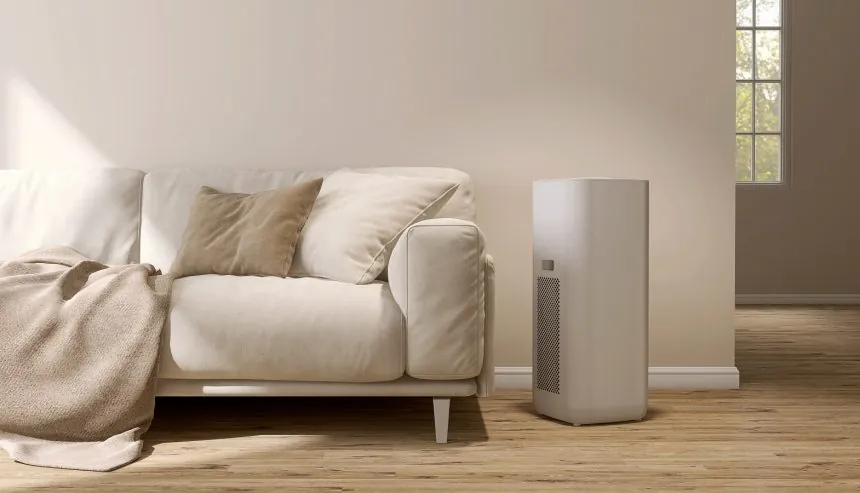 Does a Dehumidifier Kill Mold