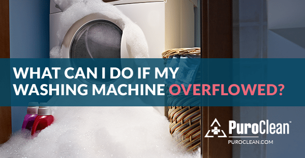 Did Your Washing Machine Overflow? Follow these Steps