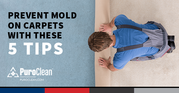how to prevent mold on carpets