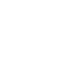 PuroClean Logo Icon