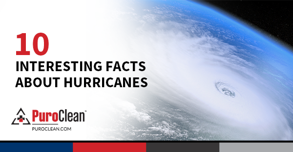 10 Interesting Facts About Hurricanes