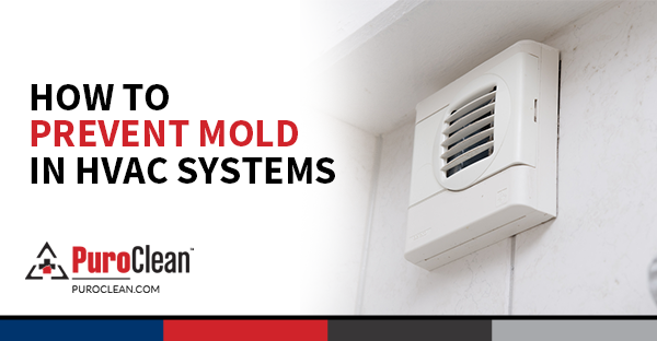 How to Prevent Mold in HVAC Systems