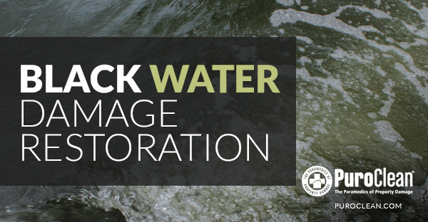 Black Water Damage Restoration