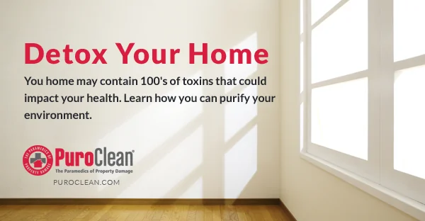 Detox Your Home