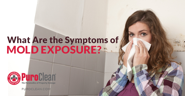 What Are the Symptoms of Mold Exposure?