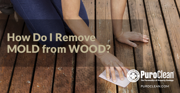 How Do I Remove Mold from Wood?