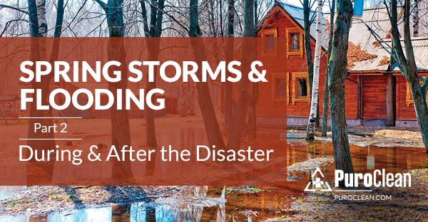 Spring Storms & Flooding (Part 2): During and After the Disaster