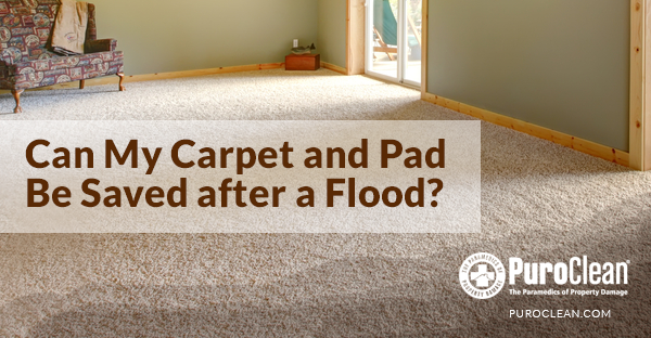 Can My Carpet and Pad Be Saved after a Flood?