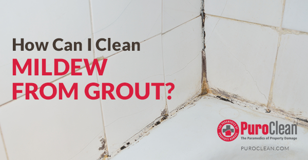 How Can I Clean Mildew from Grout?