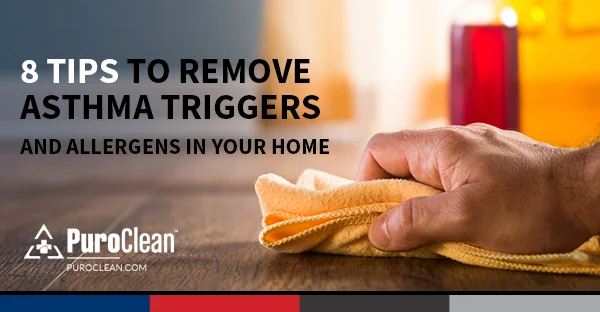 8 Tips to Remove Asthma Triggers and Allergens in Your Home