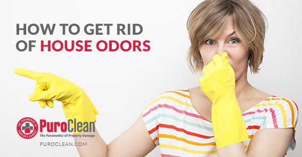 How to Get Rid of House Odors