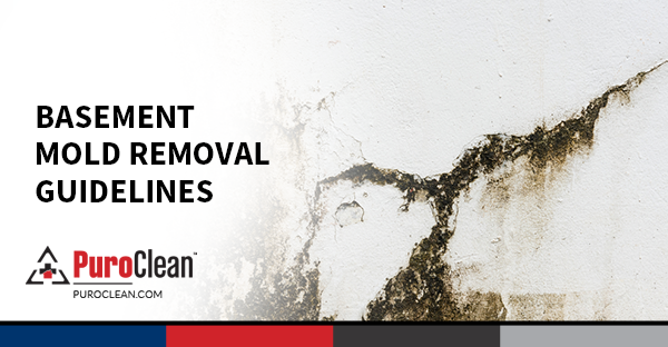Basement Mold Removal Guidelines