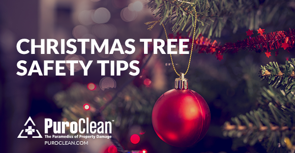 Christmas Tree Safety Tips