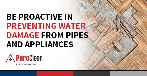 Be Proactive in Preventing Water Damage from Pipes and Appliances