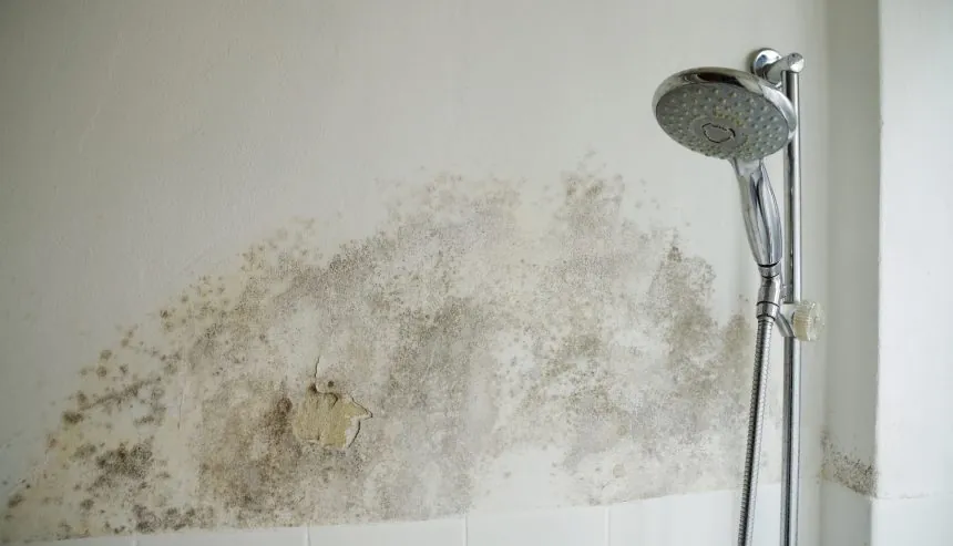 How to Repair and Prevent Bathroom Water Damage