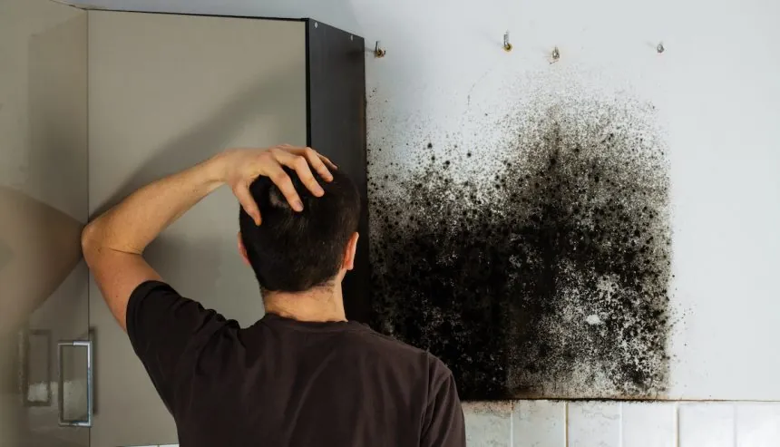 mold in homes