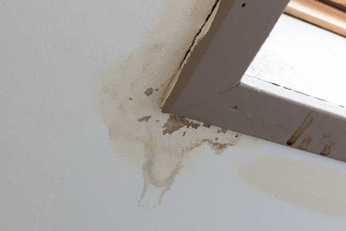 water damage and mold on a window frame
