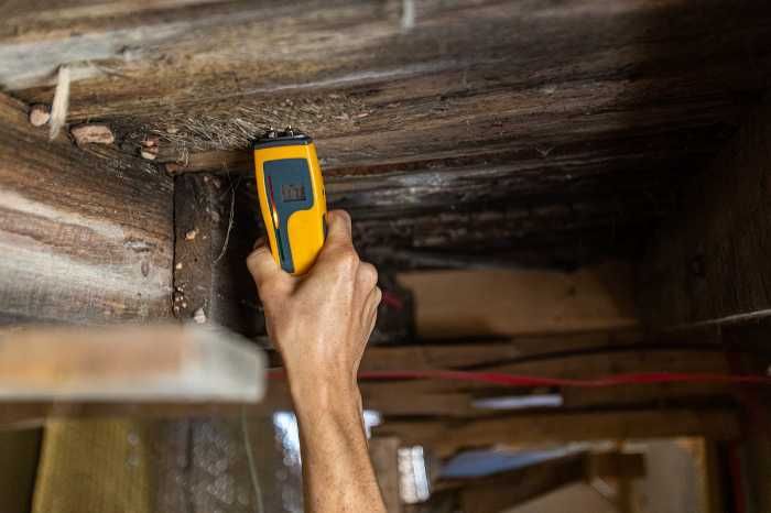 tool used to identify mold in house
