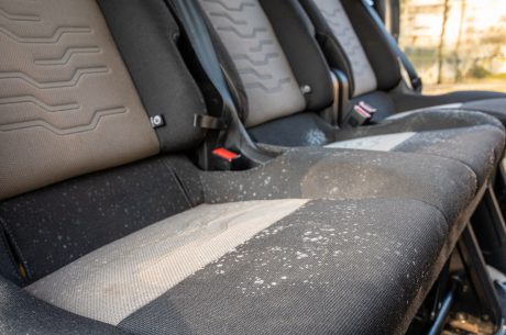 mold in car