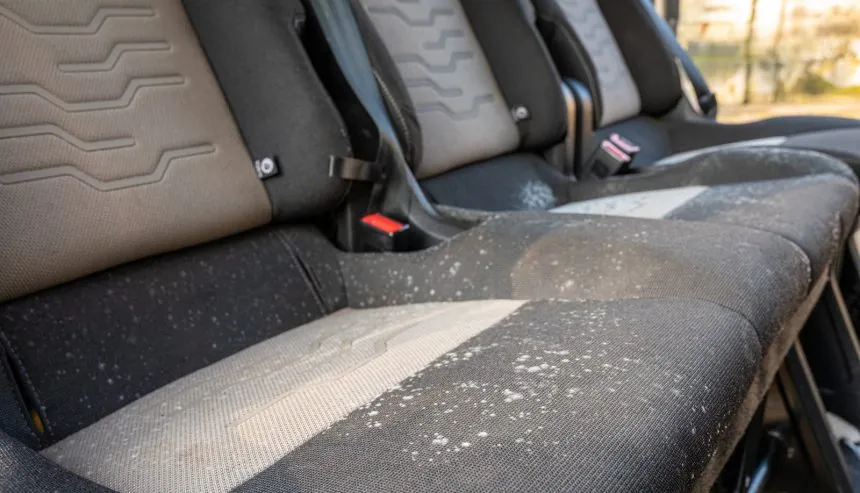 mold in car