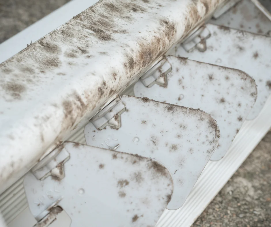 Mold in Heat Pump: How to Handle Mold Growth in Your Heat Pump or Air Conditioner