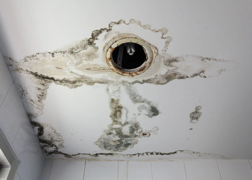 Mold On Ceiling How To Treat