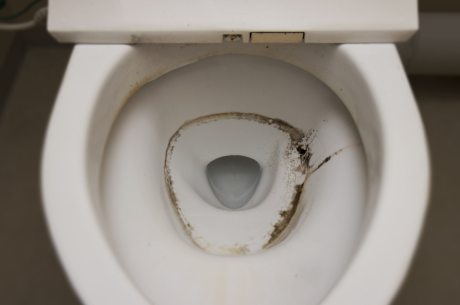 ring of mold in toilet