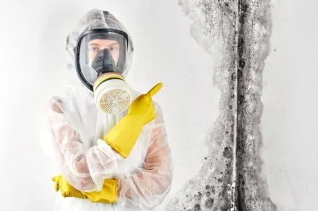 black mold