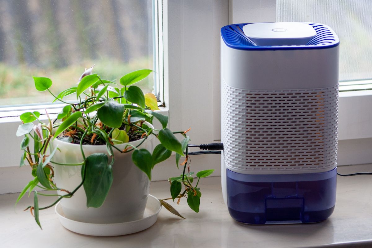 How to Use a Dehumidifier in Your Home