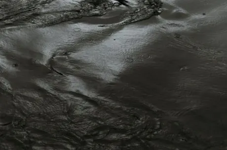 black water damage restoration