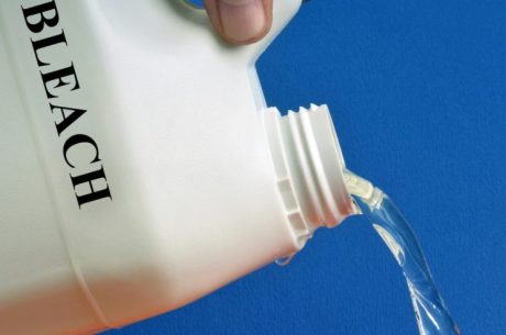 does bleach kill mold