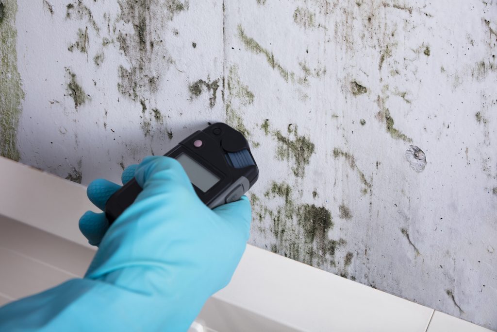 Measuring the wetness of your home to help prevent mold.