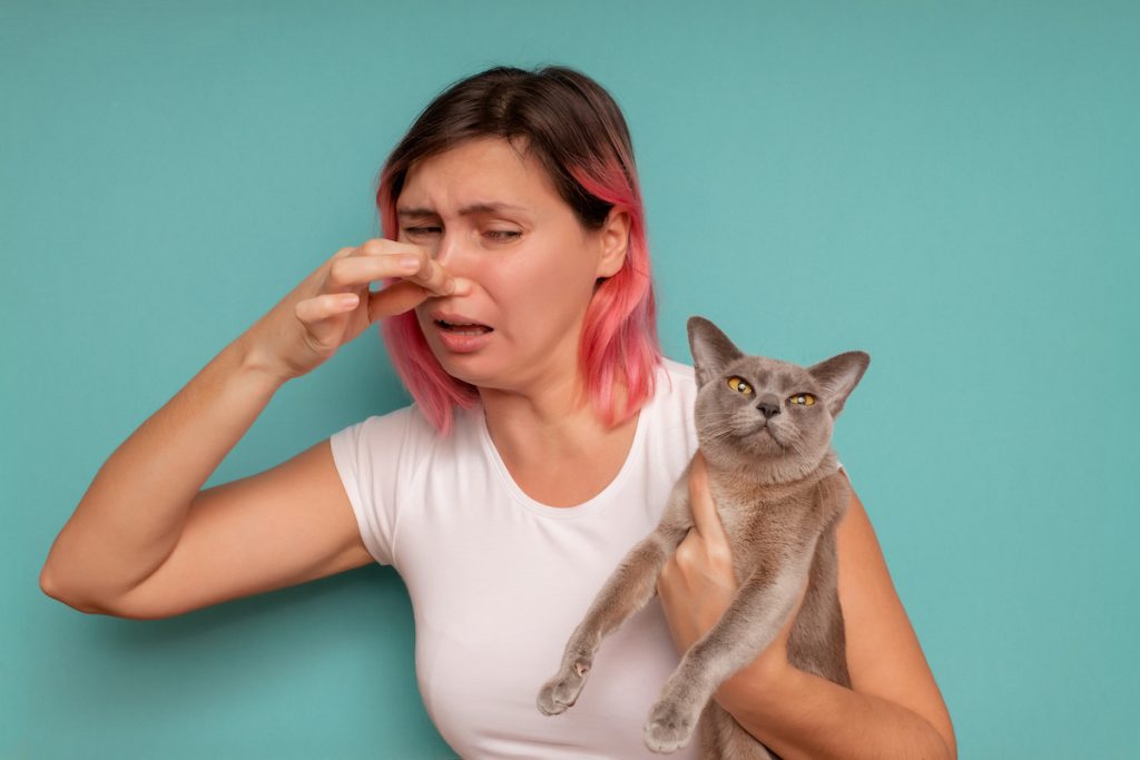 how to prevent pet smell in house