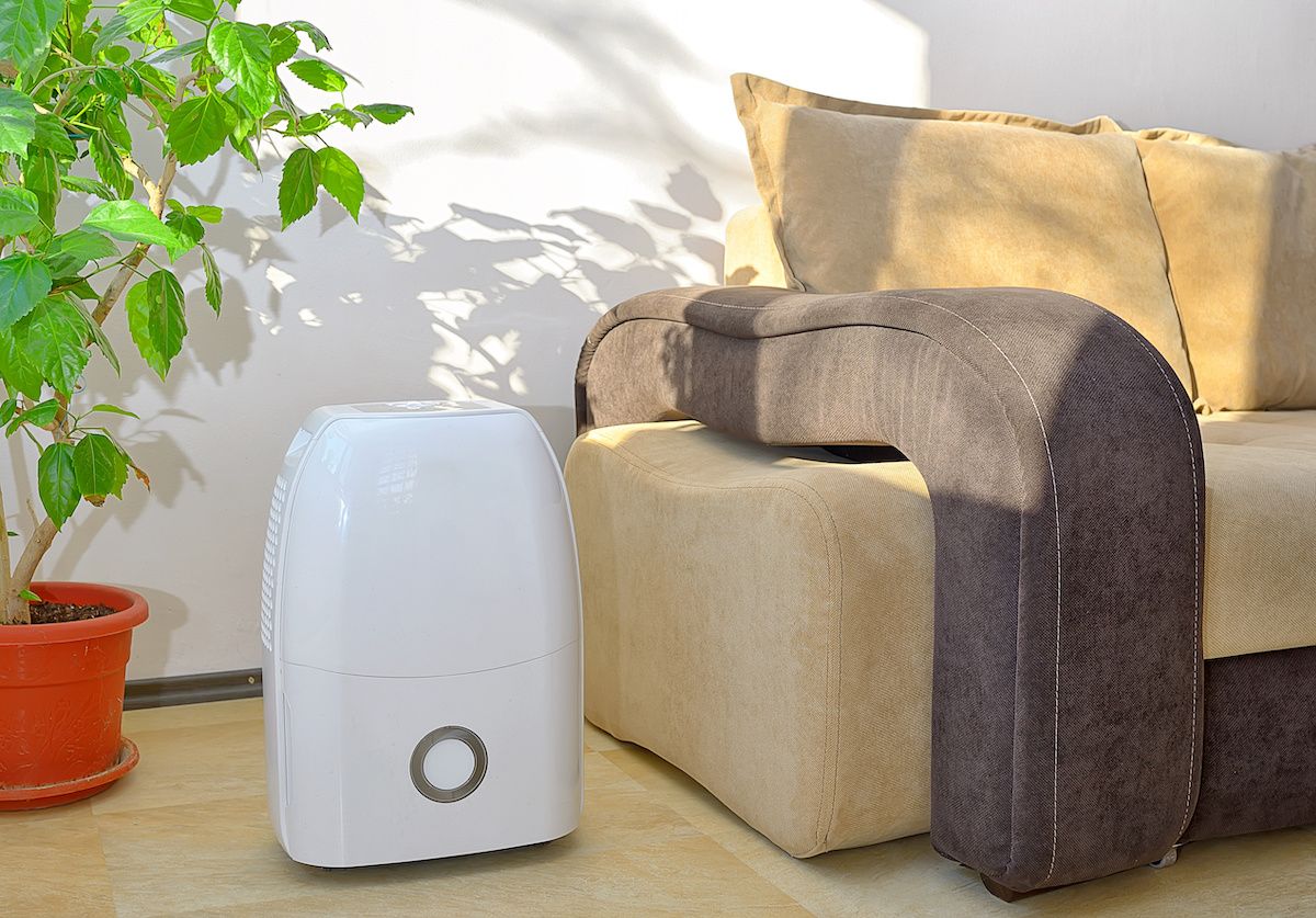 The Difference Between Air Purifiers and Dehumidifiers PuroClean HQ