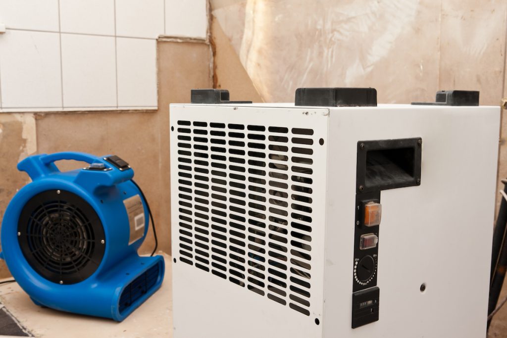 A blue air mover and white dehumidifier help with mold removal