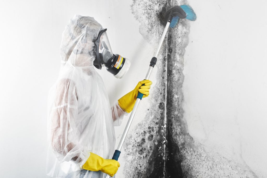 A technician in full PPE uses tools for mold removal on a wall