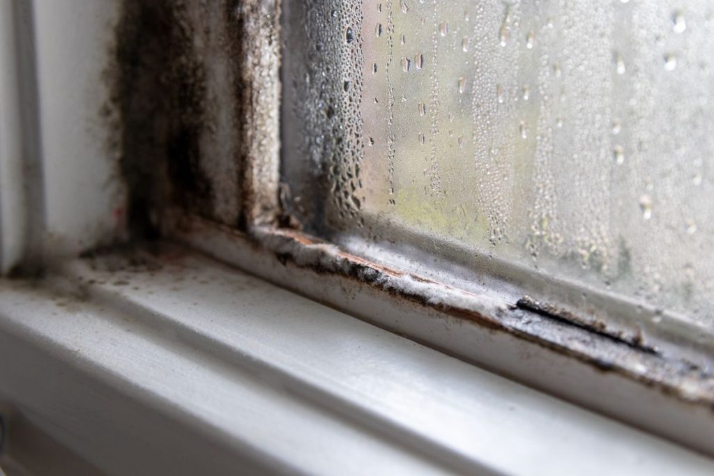 window with mold and dirt