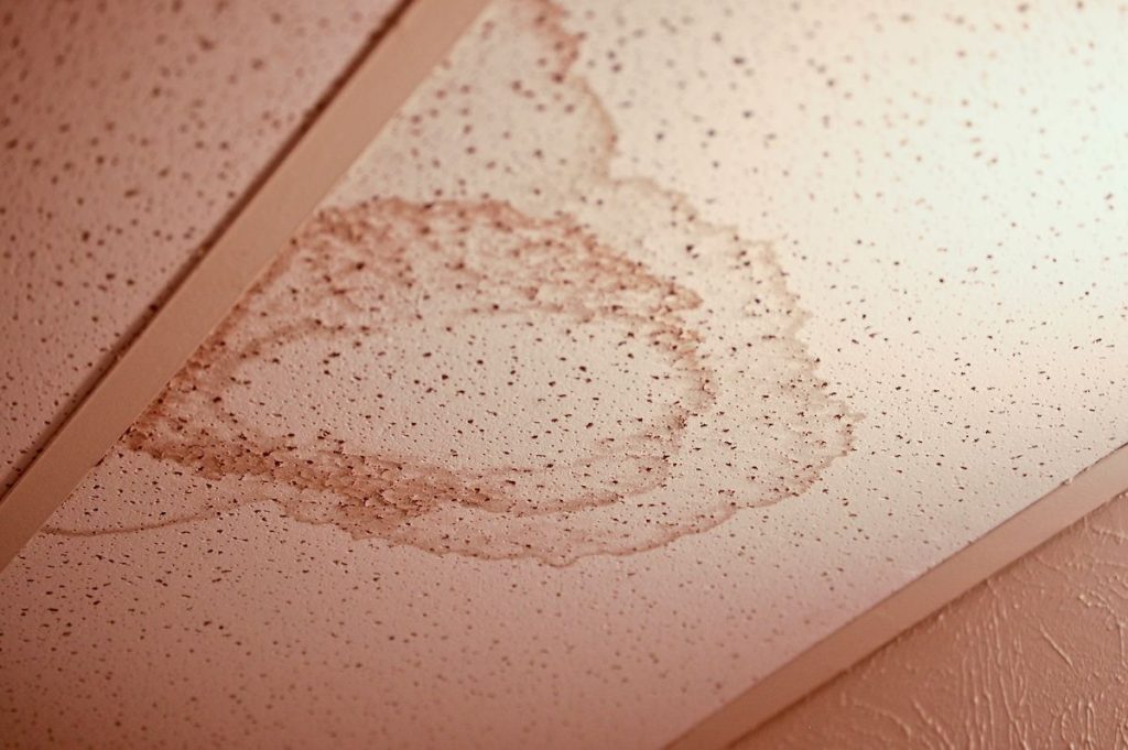 Mold on the ceiling after water damage