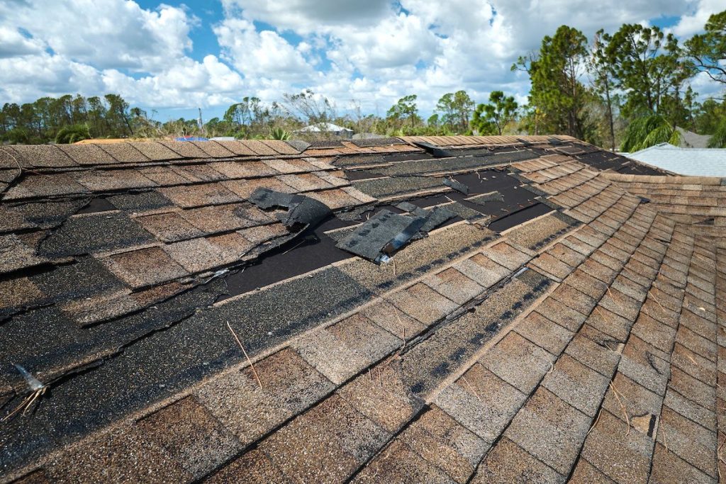 How to tell if water damage is new or old. Roof damaged by water damage