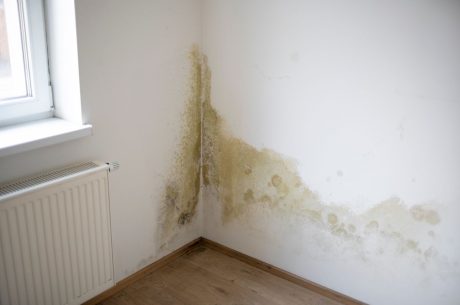 How to tell if water damage is new or old. Water damage on the walls.