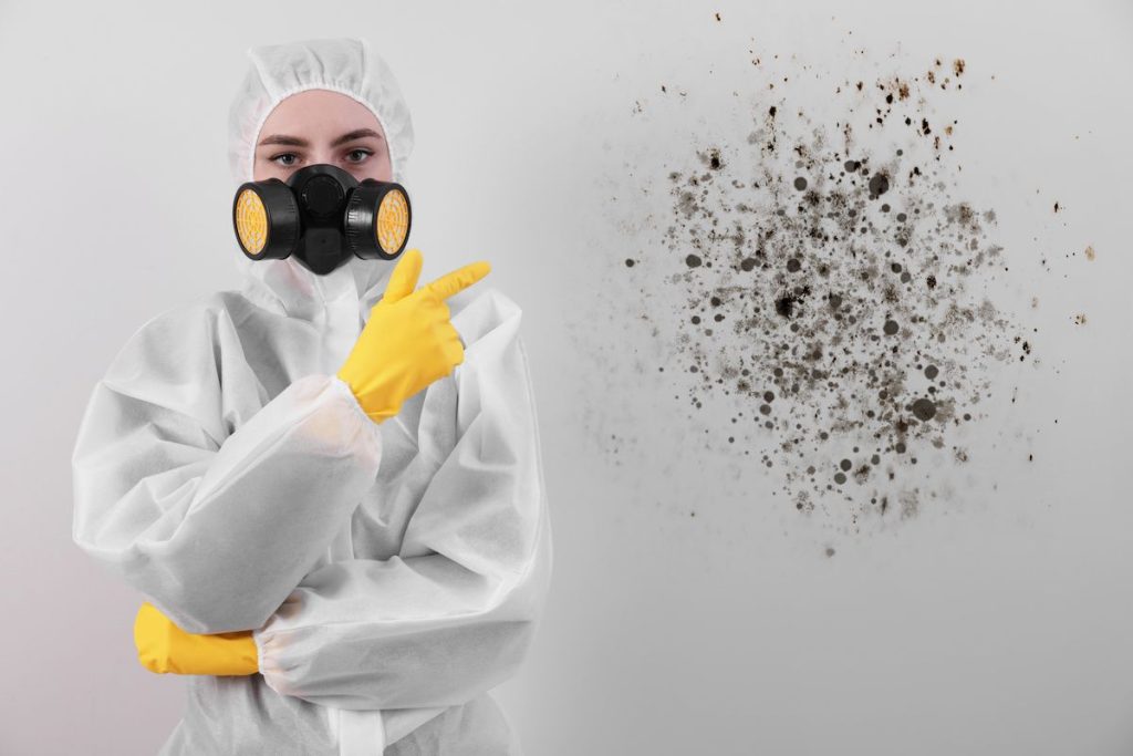 From Struggle To Success How Much Does Mold Devalue A Home