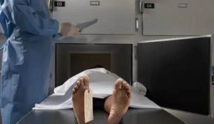 A cadaver being inspected for biohazard clean up.