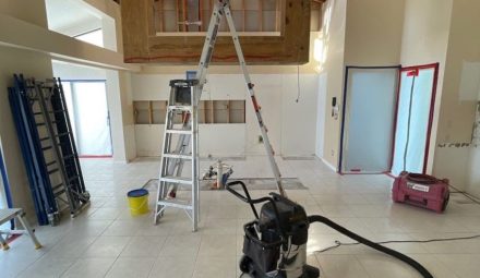The beginning setup of this mold infestation remediation job.